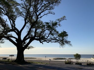 Bay of St Louis