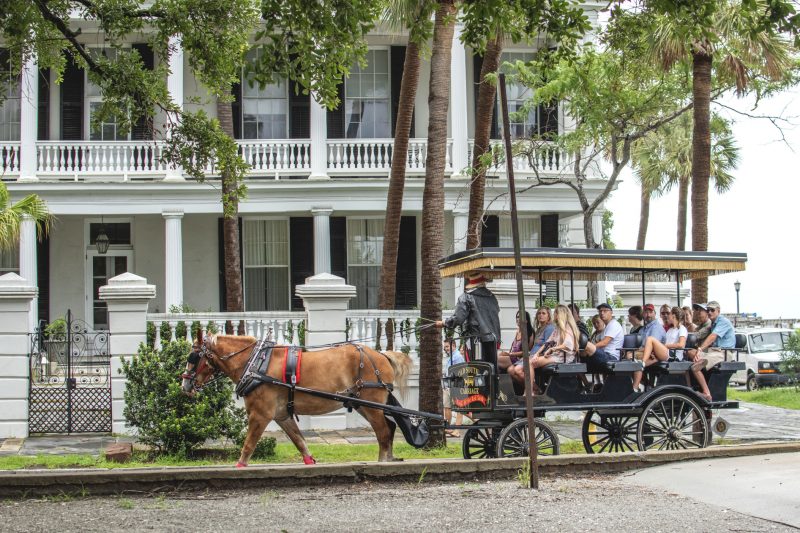 Touring the historic area of Charleston, South Carolina, on a horse drawn carriage.