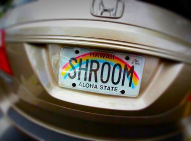 A Hawaii license plate reads SHROOM with a rainbow design on the back of a van