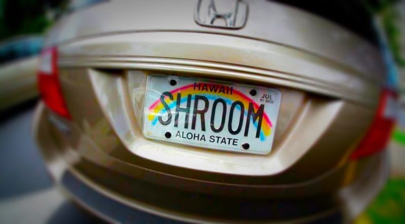 A Hawaii license plate reads SHROOM with a rainbow design on the back of a van