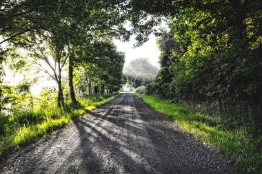 A country road in the morning light in rural Arkansas