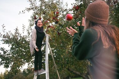 Two friends having fun tossing apples to each other as they pick them in an orchard.