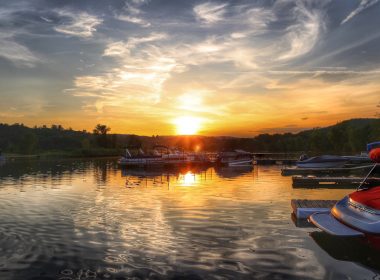 Boars congregating on the river during sunset.