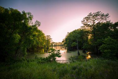 Sunset over the bayou