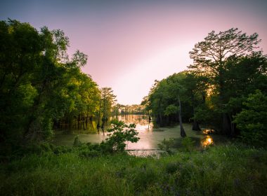 Sunset over the bayou