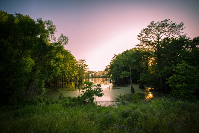 Sunset over the bayou