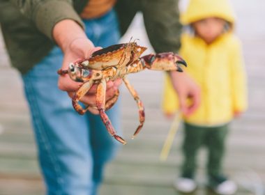 A man holding a freshly caught crab outside on the dock.