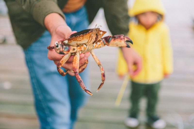 A man holding a freshly caught crab outside on the dock.