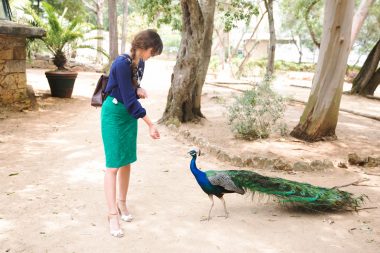 A women gently feeds a peacock.