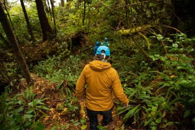 Hiking through the dense forest in the Pacific North West with a rain coat.