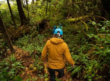 Hiking through the dense forest in the Pacific North West with a rain coat.