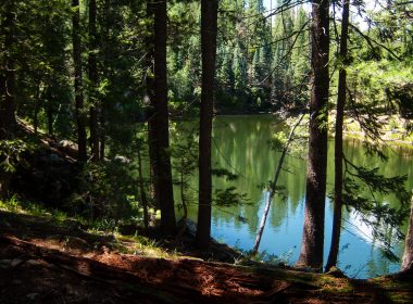 Looking down through the pines towards Knoll Lake in Arizona.