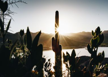 Sun sets over a lake and its beach in Arizona, with cacti and mountains in the landscape.