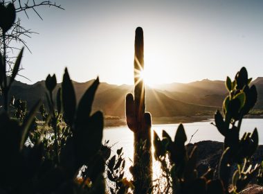 Sun sets over a lake and its beach in Arizona, with cacti and mountains in the landscape.