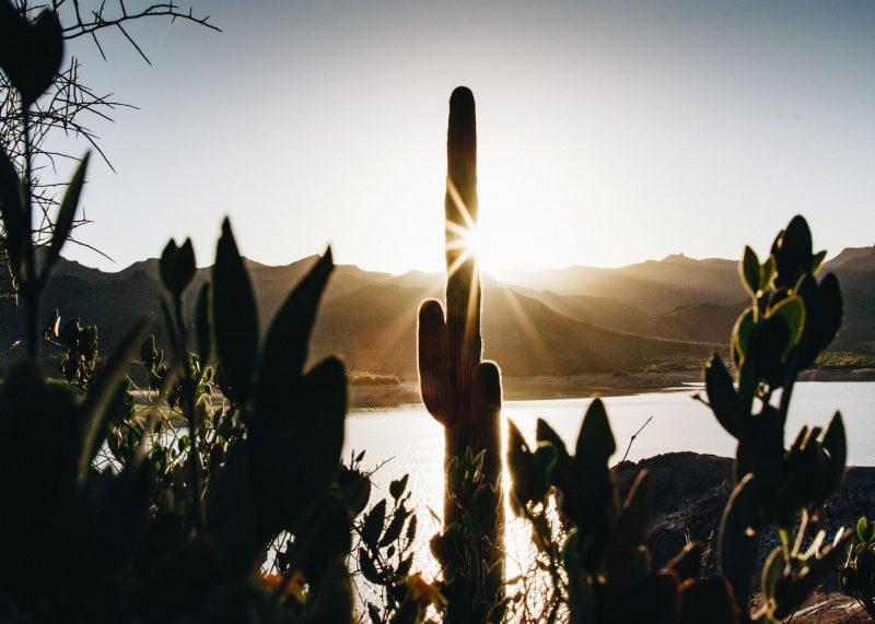 Sun sets over a lake and its beach in Arizona, with cacti and mountains in the landscape.