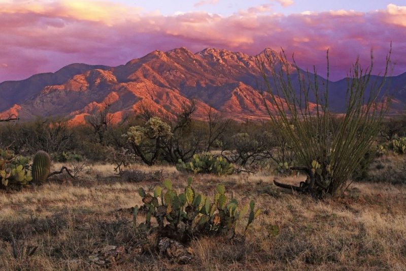 Sunset over the red Santa Rita Mountains and valleys filled with cacti.