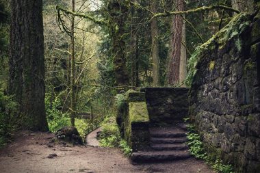 An abandoned stone building in the forest in Oregon has been given the name "Witch's Castle."