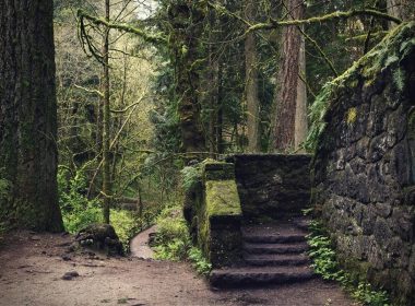 An abandoned stone building in the forest in Oregon has been given the name "Witch's Castle."