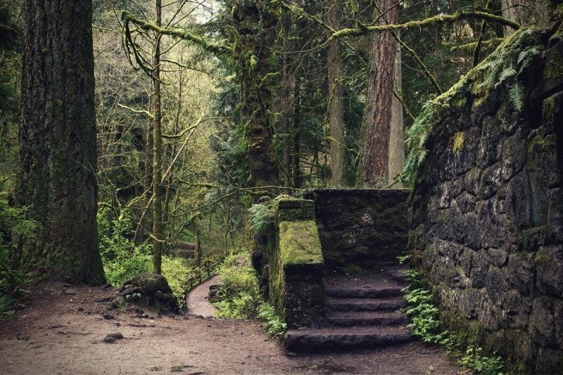 An abandoned stone building in the forest in Oregon has been given the name "Witch's Castle."