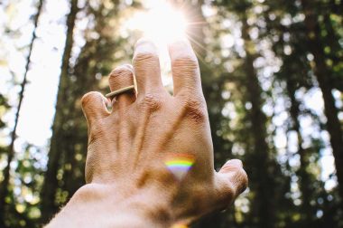 A hand reaches up to touch the beam of light streaming through the trees from the sun.