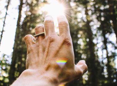 A hand reaches up to touch the beam of light streaming through the trees from the sun.