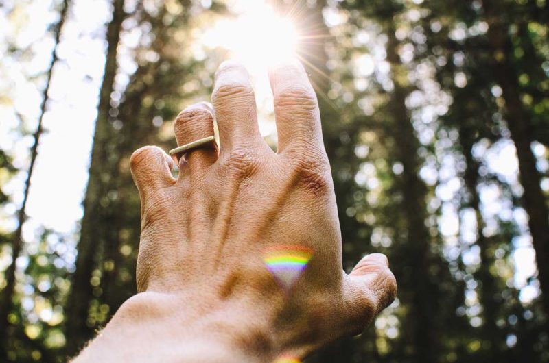 A hand reaches up to touch the beam of light streaming through the trees from the sun.