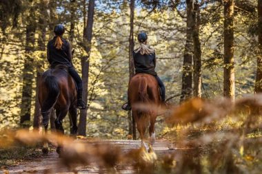 Two woman on a horseback ride along a path through a forest on a sunny day.