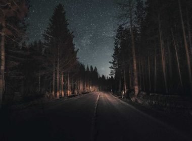 A night drive through an empty road that winds through the forest.