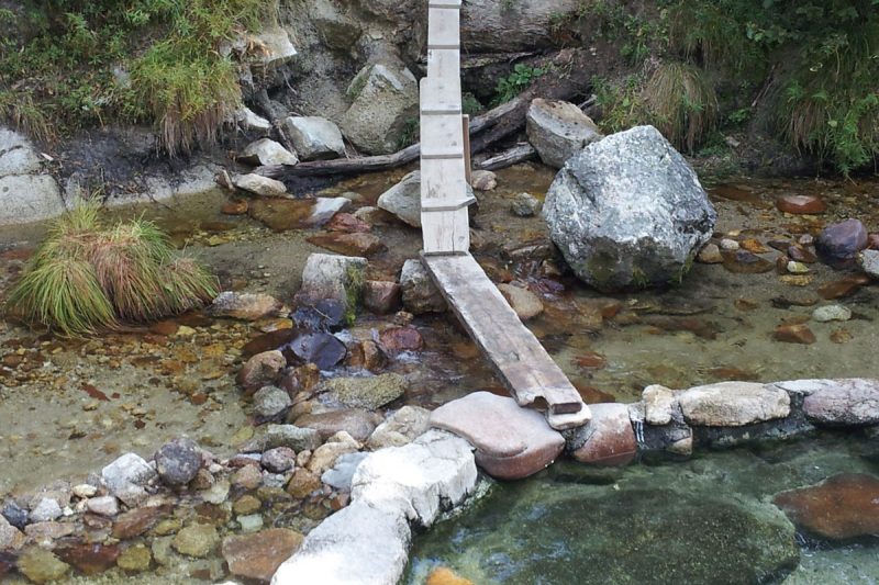 A wooden walkway to the hot springs pools at Trail Creek.