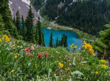 Wildflowers above a Blue Lake in Colorado mountains.