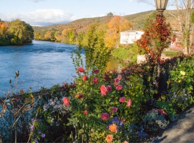 Pink and purple flowers climbing and blooming along the railing of The Bridge of Flowers during fall.