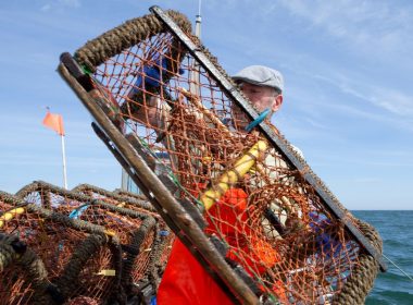 A commercial fishmerman pulls up a lobster basket from the ocean in Maine.