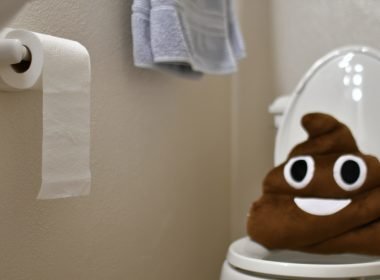 Poop emoji pillow sitting on toilet
